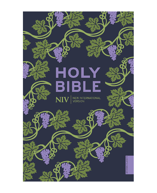 Holy Bible - NIV New International Version