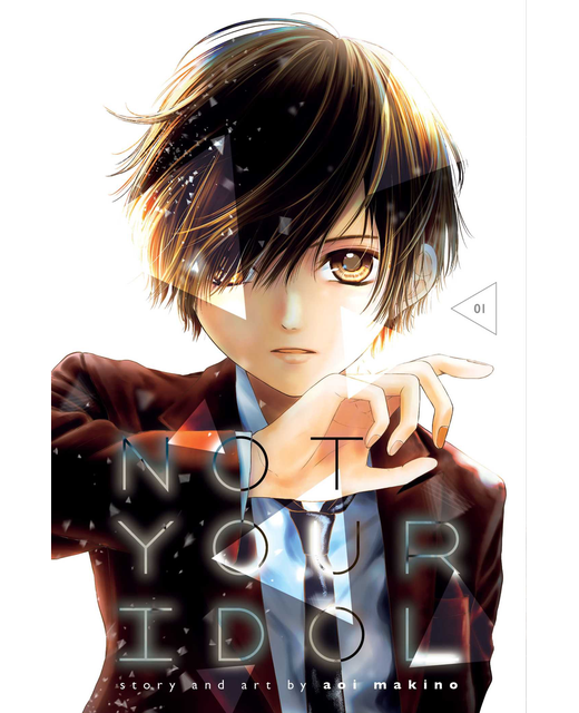 Not Your Idol - Vol. 1