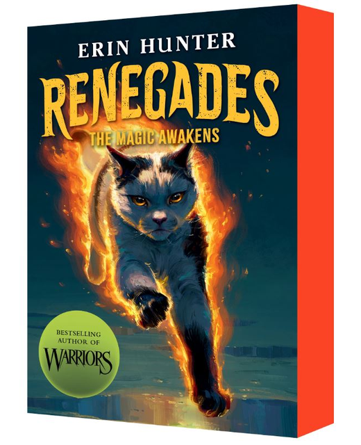 Renegades 1 - The Magic Awakens