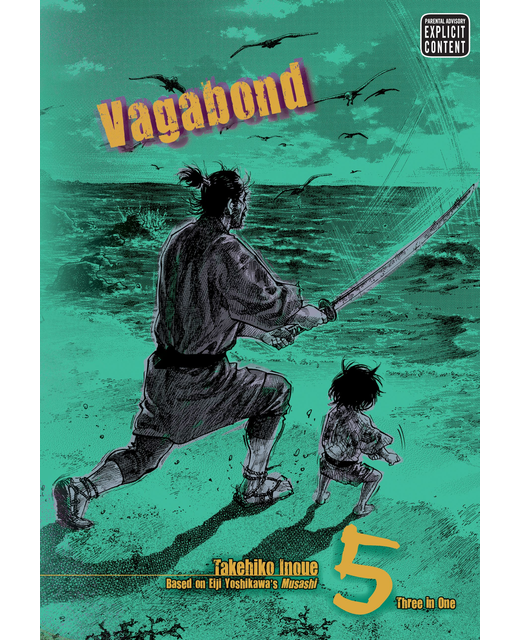Vagabond VIZBIG Edition Volume 5