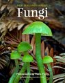 CALENDAR 2027 NZ NATIVE FUNGI
