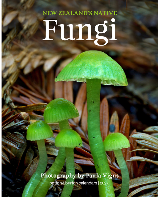 CALENDAR 2027 NZ NATIVE FUNGI