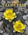 CALENDAR 2027 NZ NATIVE FLOWERS