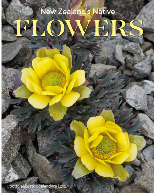 CALENDAR 2027 NZ NATIVE FLOWERS