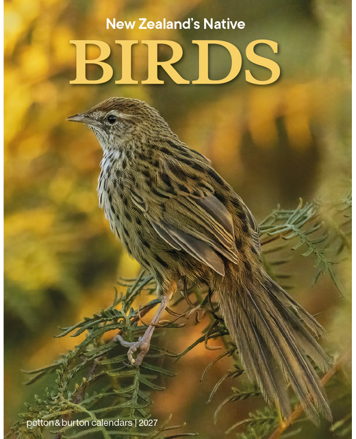 CALENDAR 2027 NZ NATIVE BIRDS