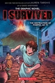 I Survived the Destruction of Pompeii AD 79 - The Graphic Novel
