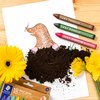 CRAYONS NORIS JUNIOR WAX ASSORTED 18PK