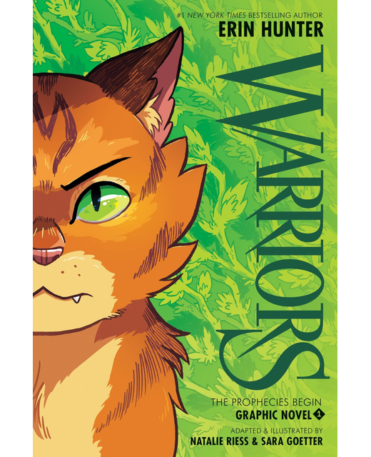 Warriors 1 The Prophecies Begin Graphic Novel