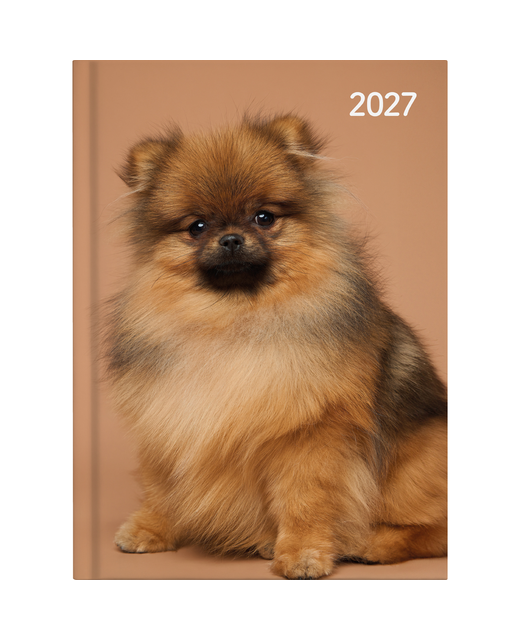 DIARY 2027 COLLINS A53 CATS AND DOGS