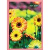 DIARY 2027 COLLINS A61 FLORAL