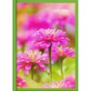 DIARY 2027 COLLINS A61 FLORAL