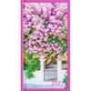 DIARY 2027 COLLINS CW7 NOTES FLORAL