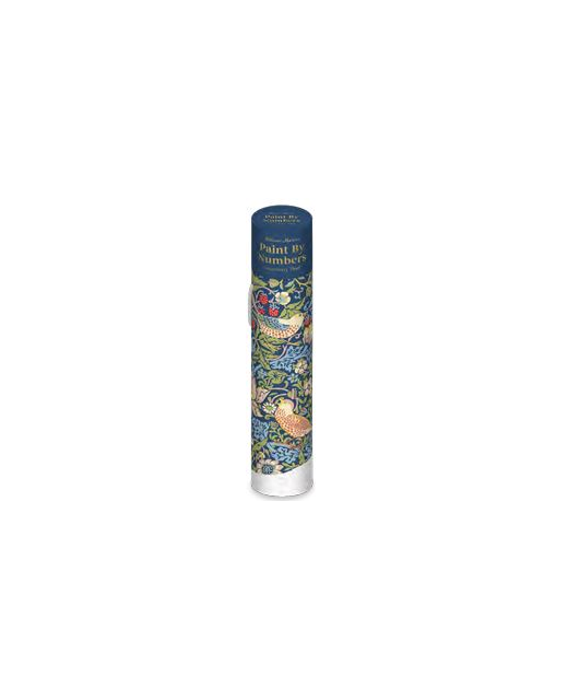 PAINT BY NUMBERS TUBE STRAWBERRY THIEF
