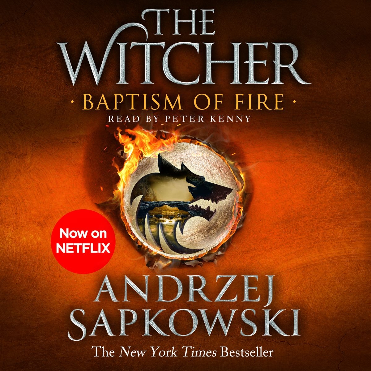 baptism of fire sapkowski baptism of fire sapkowski