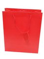 Large Red Gift Bag