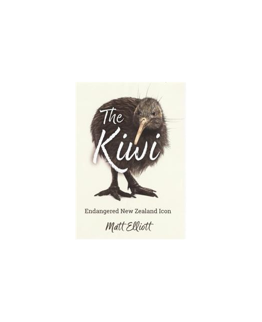 THE KIWI Endangered New Zealand Icon