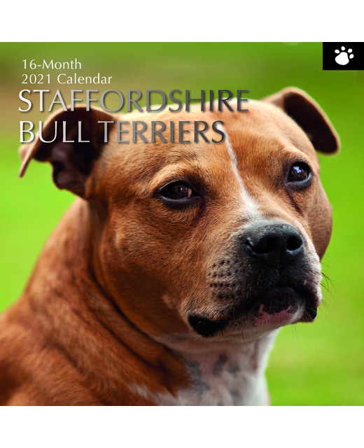 2021 SQUARE CALENDAR STAFFORDSHIRE