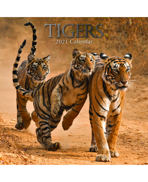 2021 SQUARE CALENDAR TIGERS