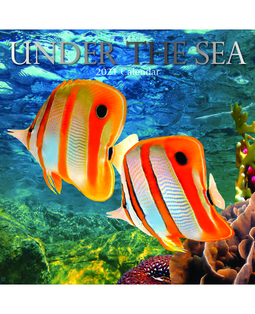 2021 SQUARE CALENDAR UNDER THE SEA