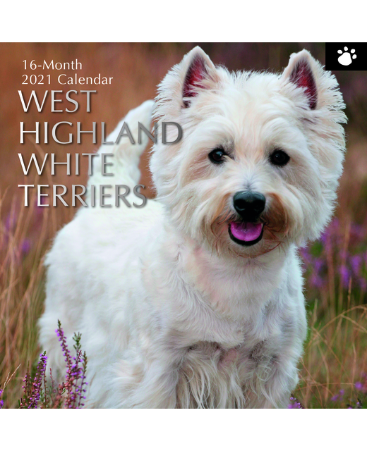 2021 SQUARE CALENDAR WEST HIGHLAND