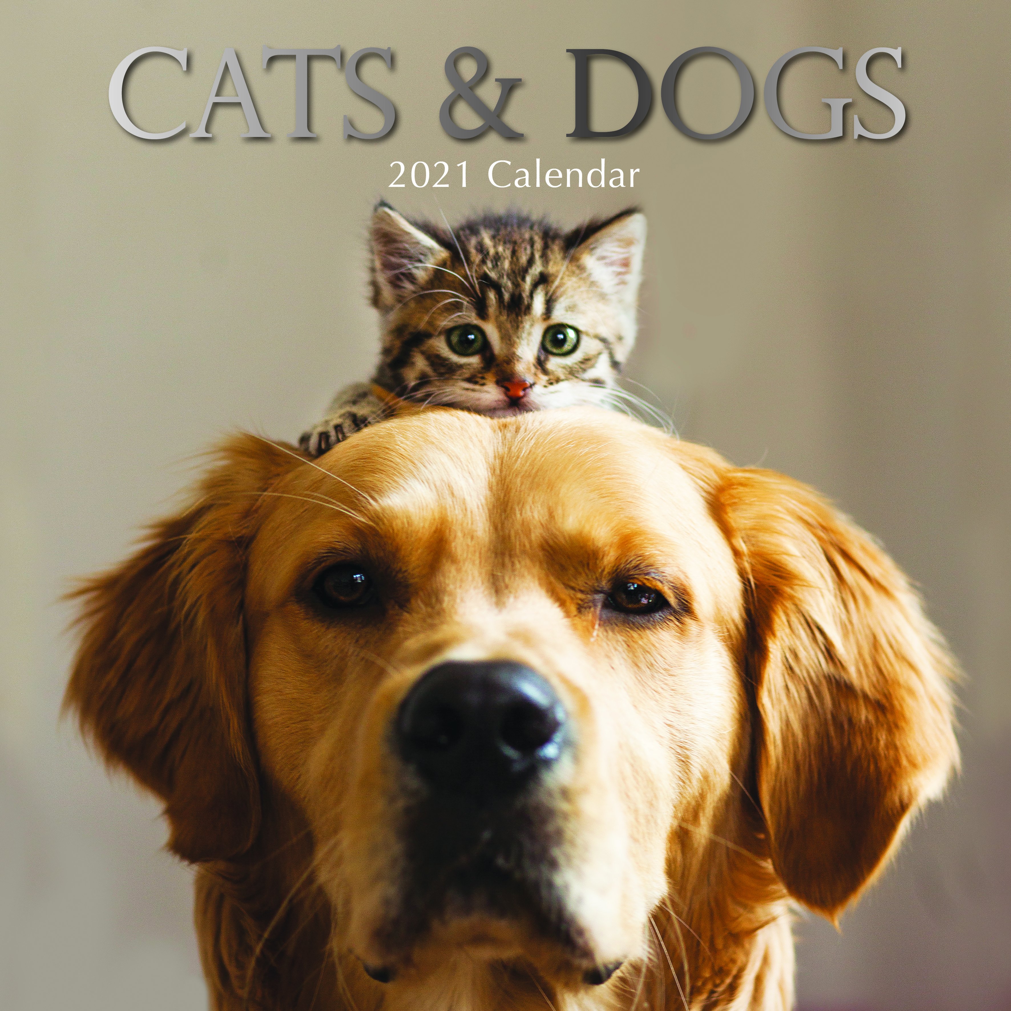 2021 Square Calendar Cats Dogs Gifts Greeting Cards Calendars Onehunga Books Stationery Gifted Calendar cats and dogs calendar 2021