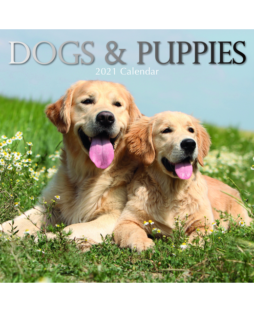 2021 SQUARE CALENDAR DOGS & PUPPIES