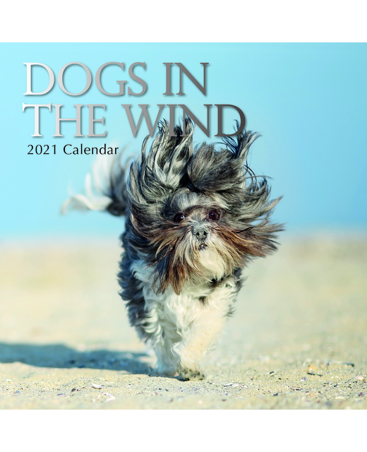 2021 SQUARE CALENDAR DOGS IN THE WIND Gifts & Greeting Cards