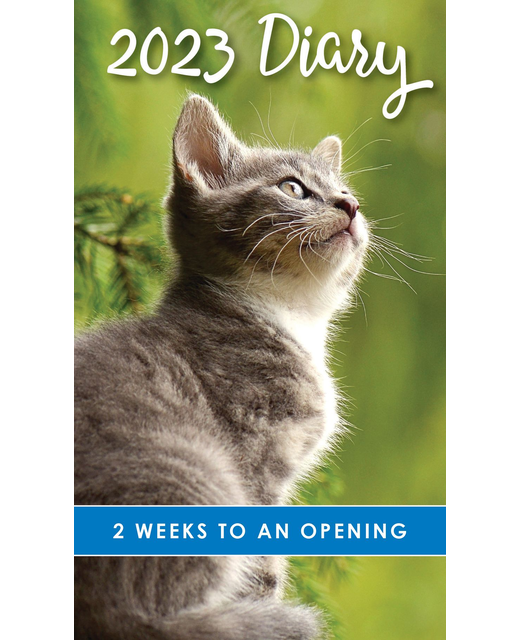 DIARIES 2023 BISCAY 2 Weeks to View Cats & Kittens