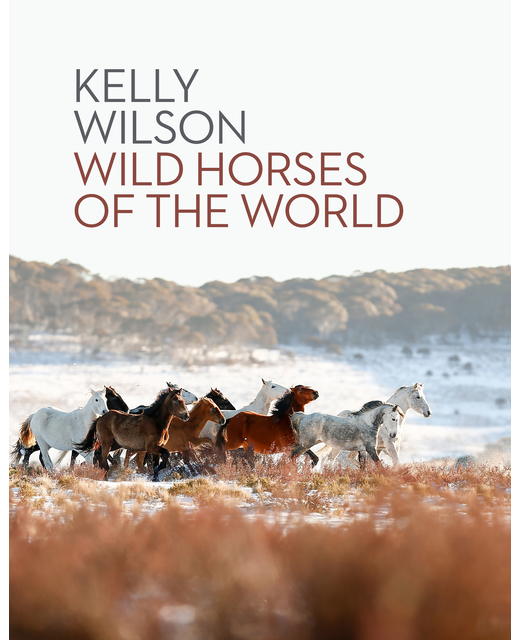 Wild Horses of the World