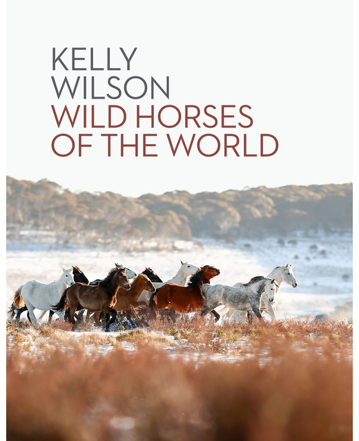 Wild Horses of the World