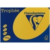 TROPHEE A4 PAPER CARD 160 GSM BRIGHT YELLOW 250PK