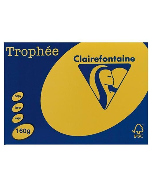 TROPHEE A4 PAPER CARD 160 GSM BRIGHT YELLOW 250PK