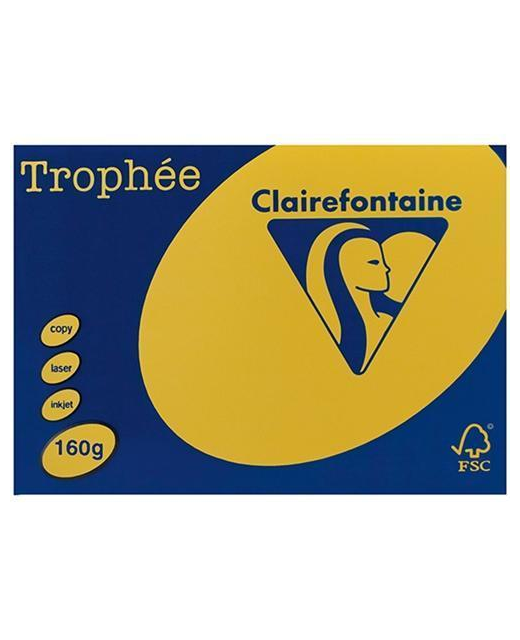 TROPHEE A4 PAPER CARD 160 GSM BRIGHT YELLOW 250PK