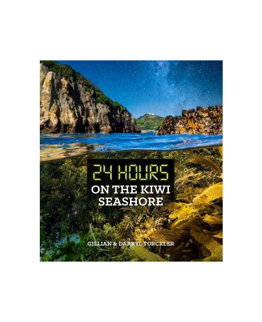 24 Hours on the Kiwi Seashore