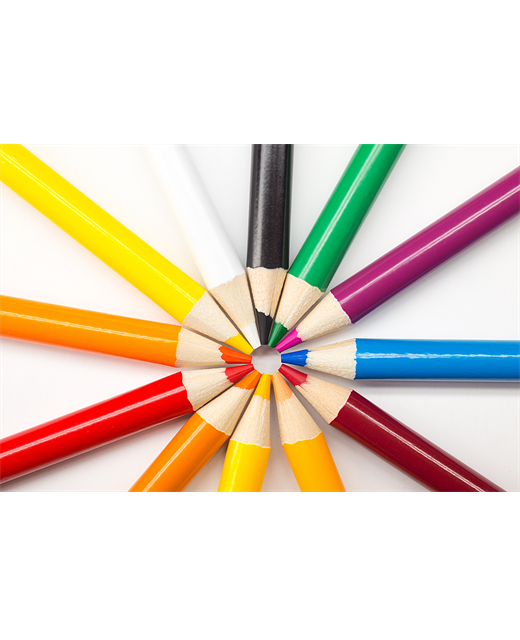 TE PAPAPA SCHOOL RIMU YEAR 7 & 8 STATIONERY PACK 2026