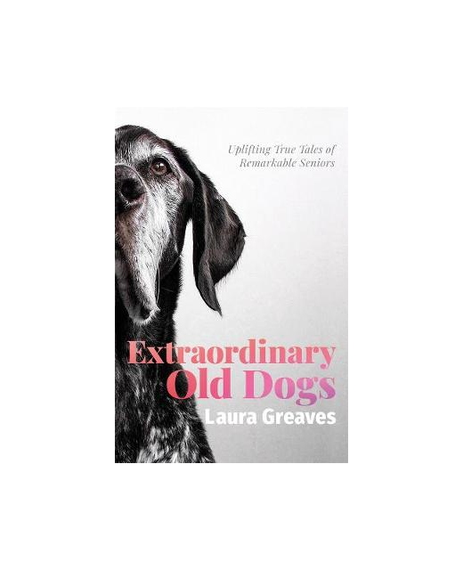 Extraordinary Old Dogs