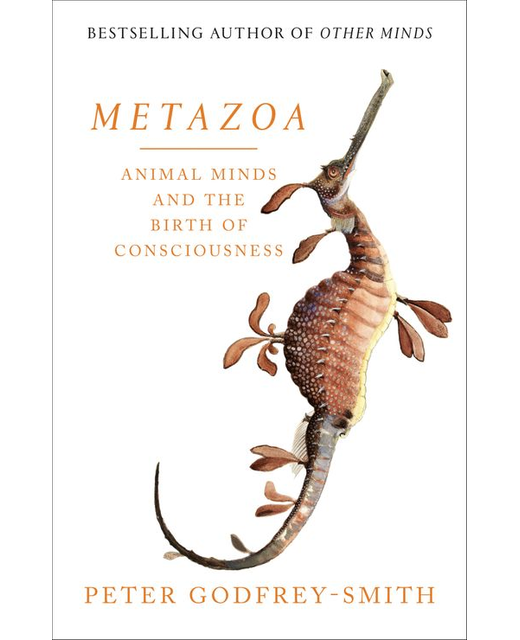METAZOA