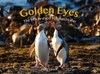 Golden Eyes: The Yellow Eyed Penguin