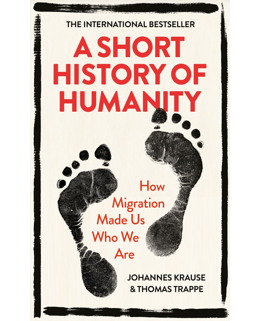 A Short History of Humanity