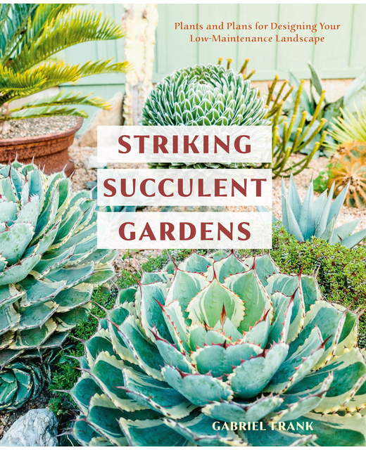 Striking Succulent Gardens