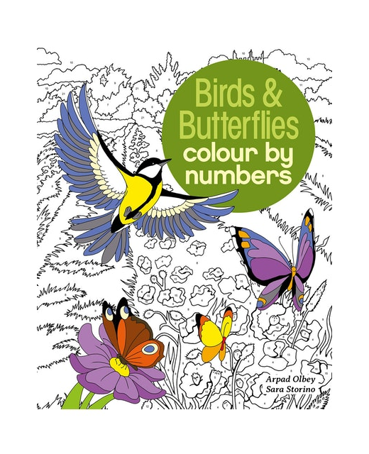 Birds & Butterflies Colour by Numbers