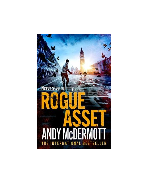 ROGUE ASSET